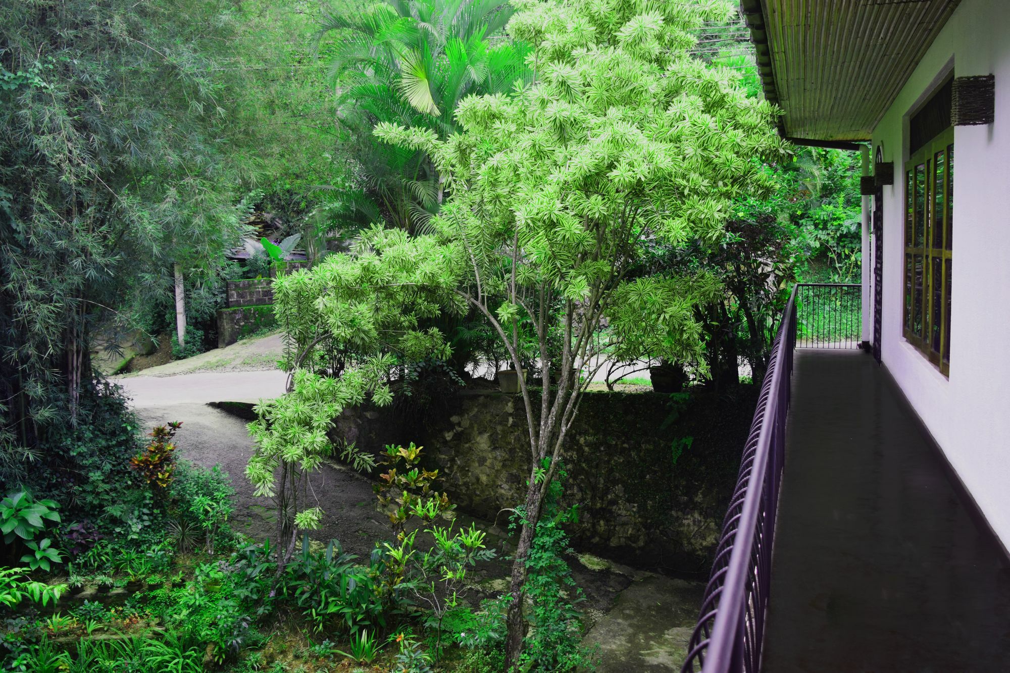 Avaana By Springhills 3* Kandy