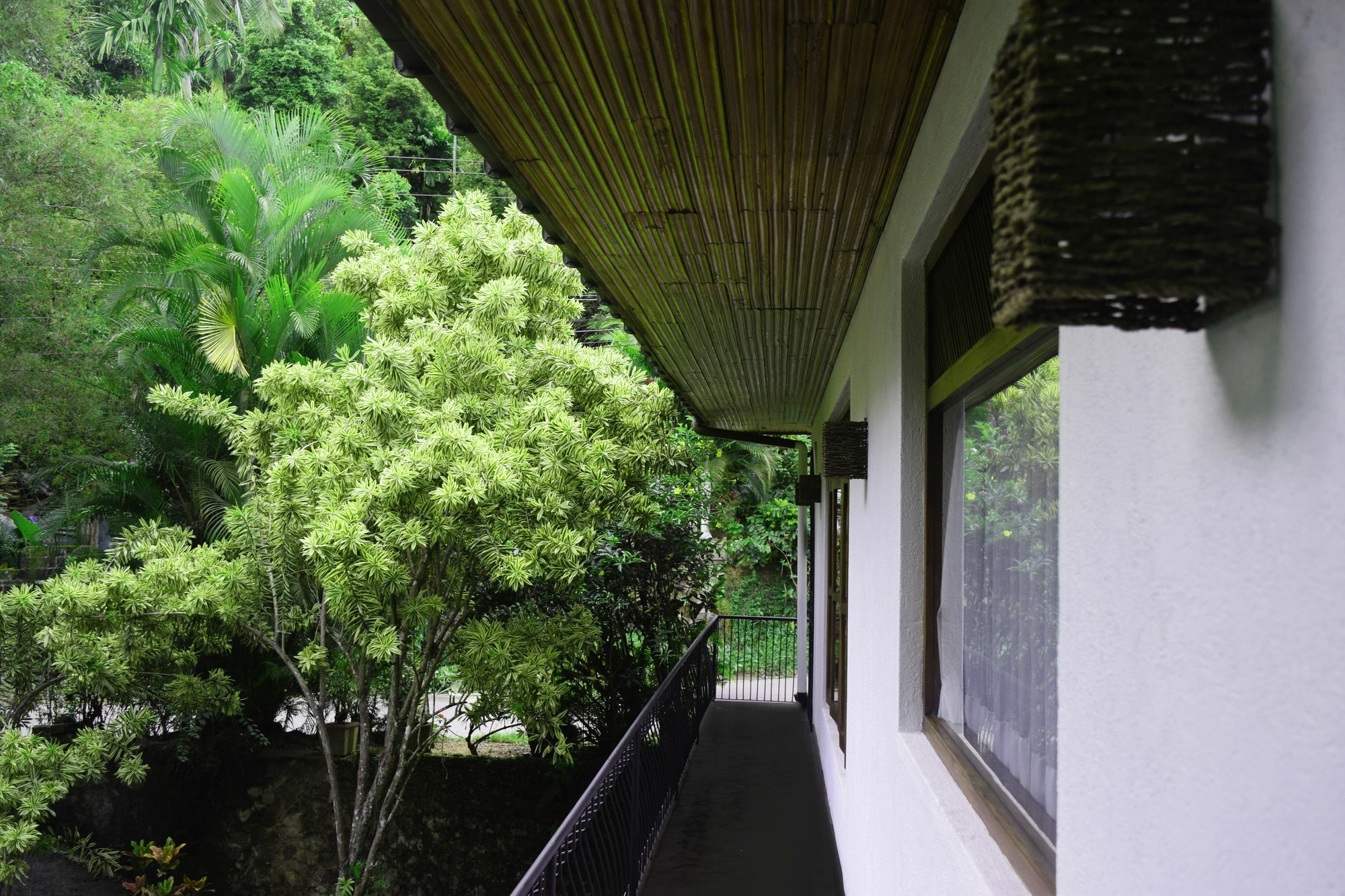 Avaana By Springhills 3* Kandy