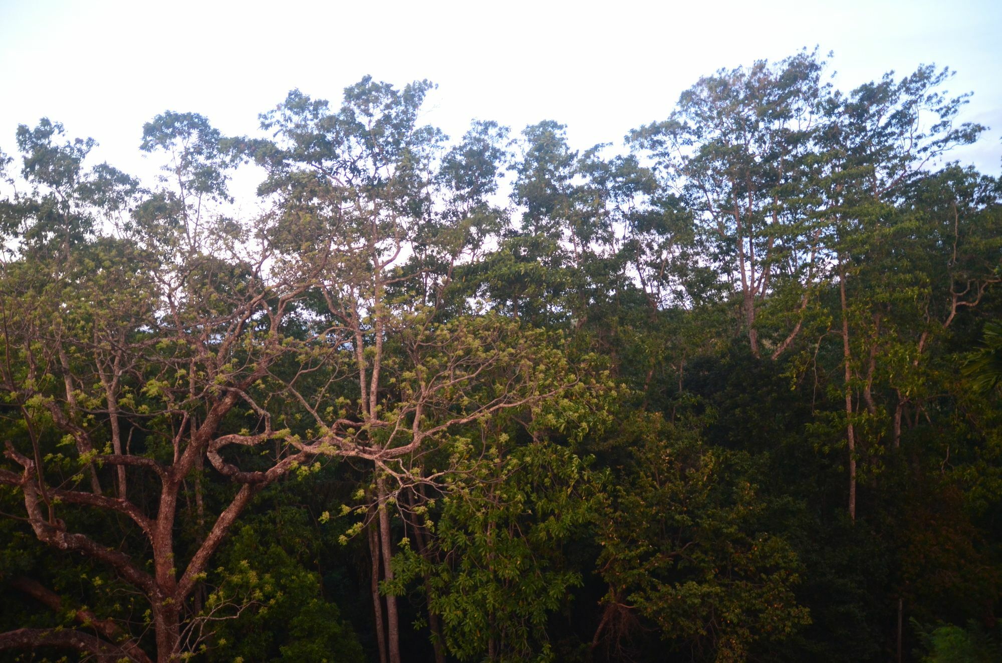 The Grand Hanthana Hotel