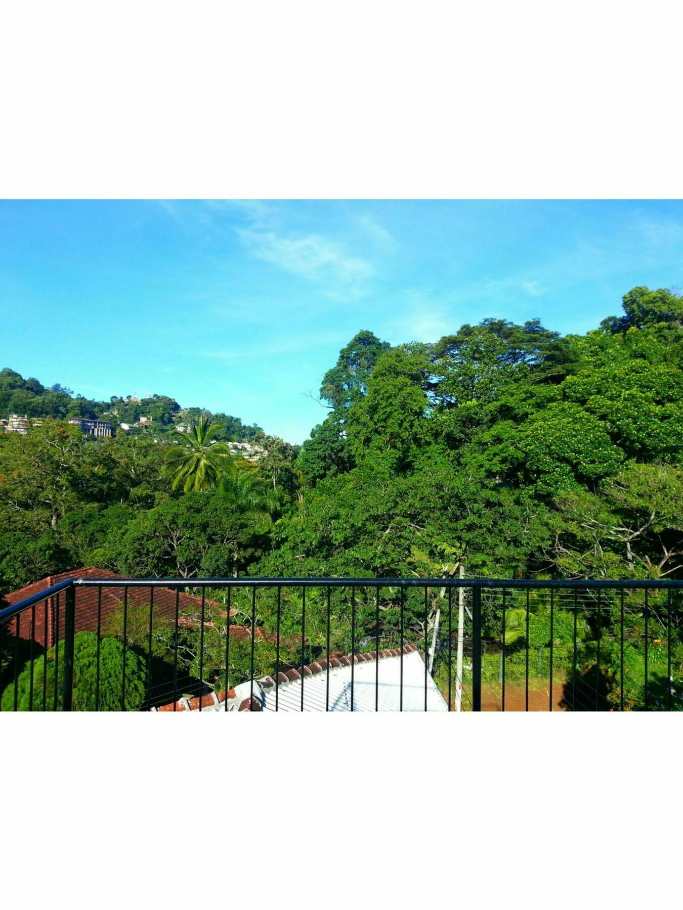 Hotel Vista Sri Dhamma Siddhi Mawatha 3*