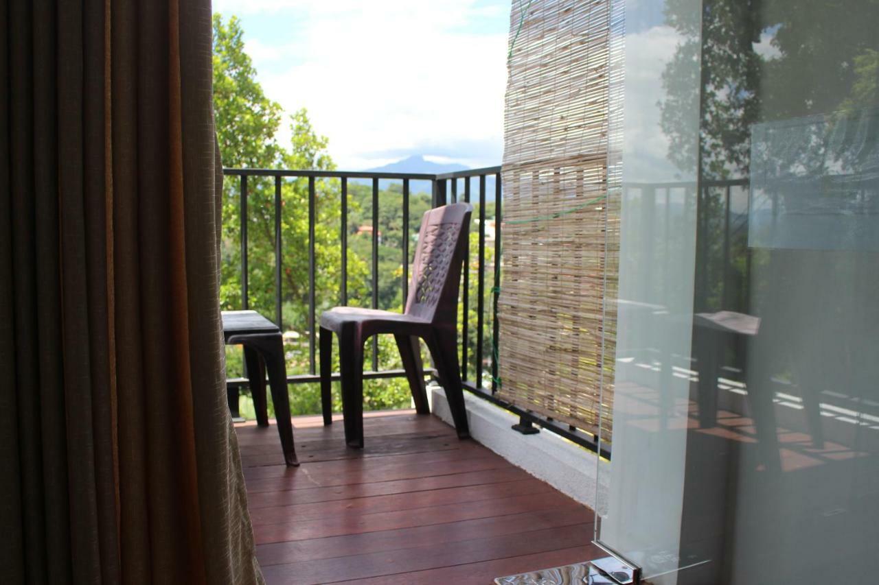 Homestay Alex *