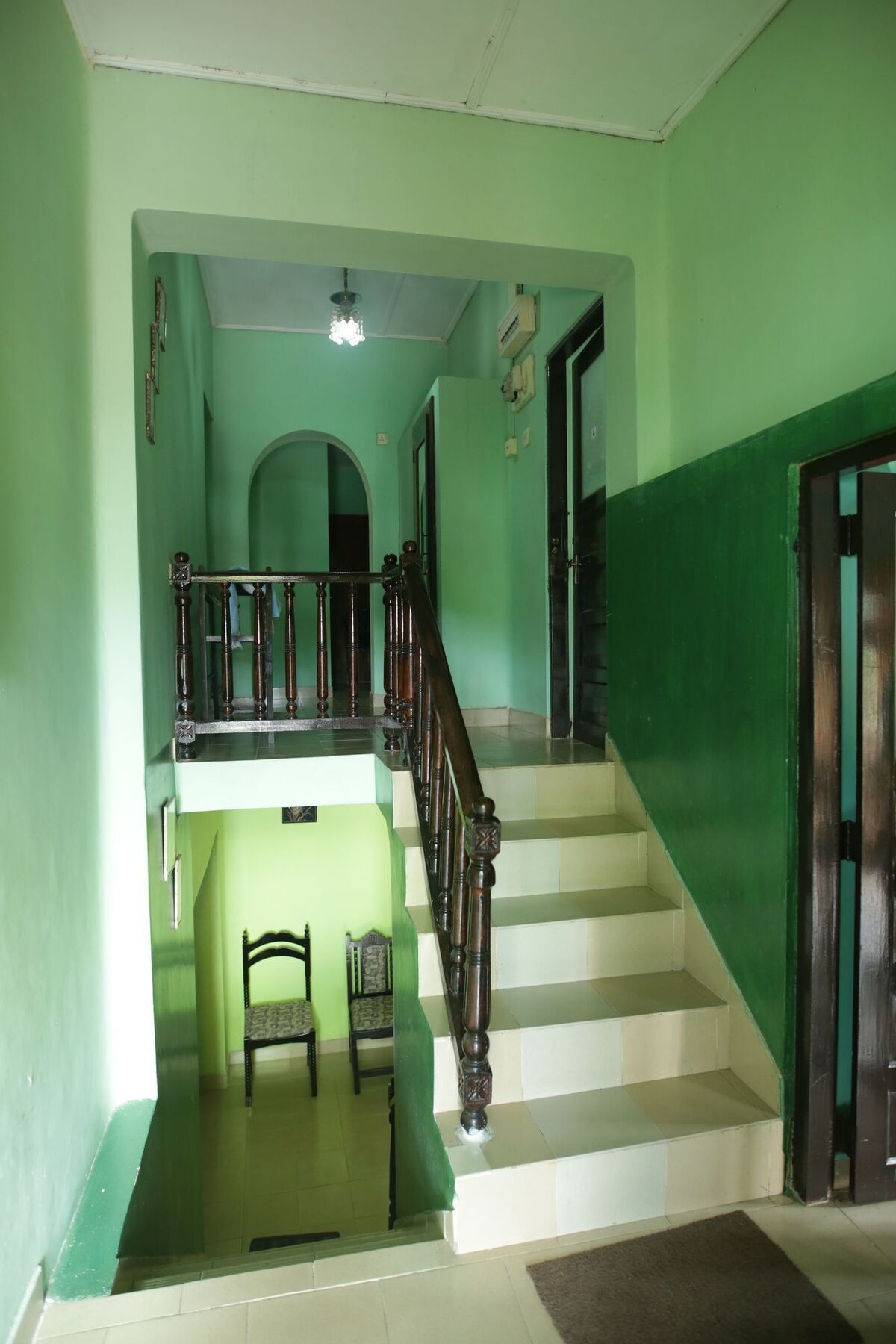 Araliya