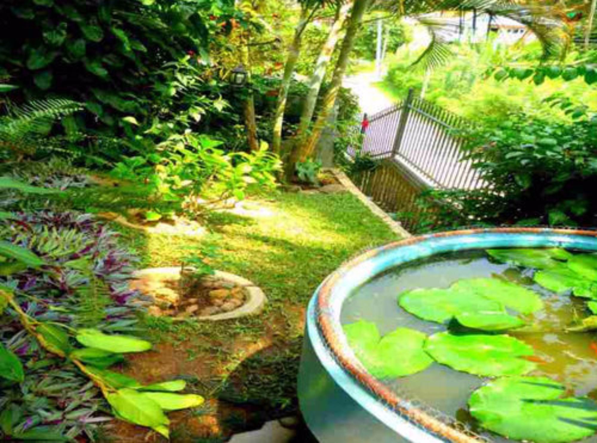 Danielsen Rest Homestay Kandy