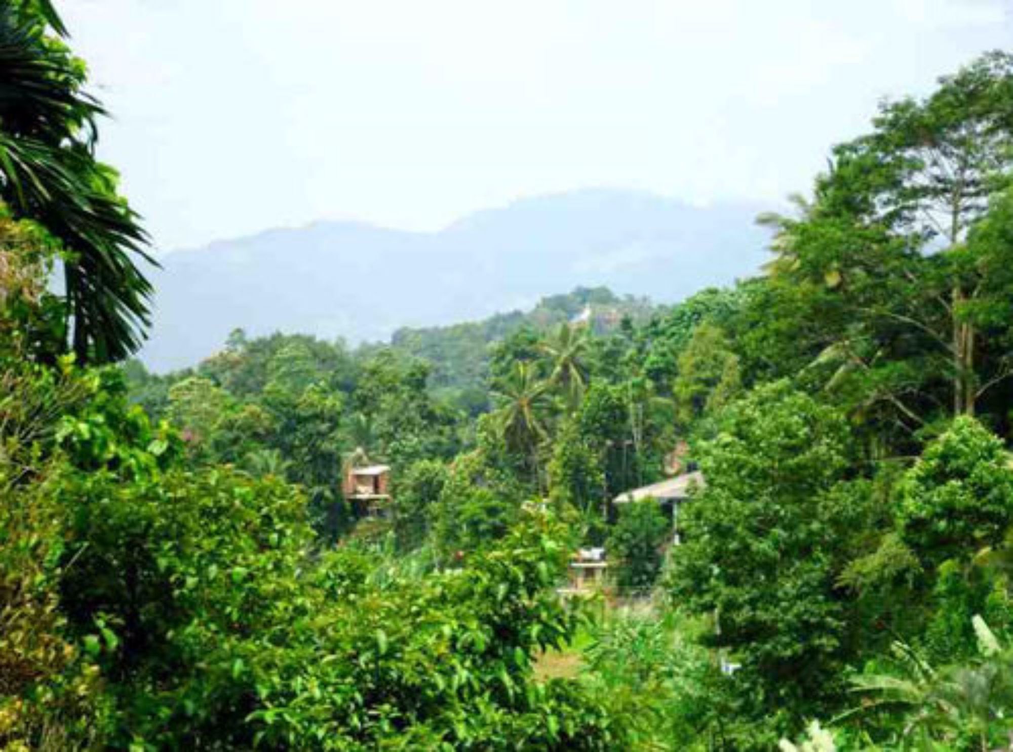 Danielsen Rest Homestay *