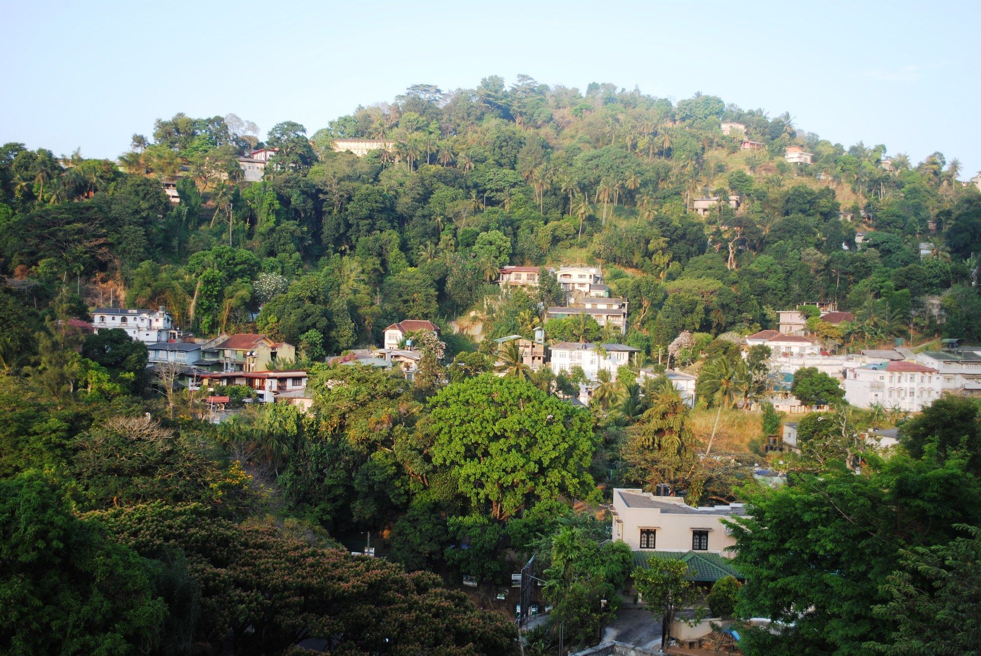 Yo Kandy