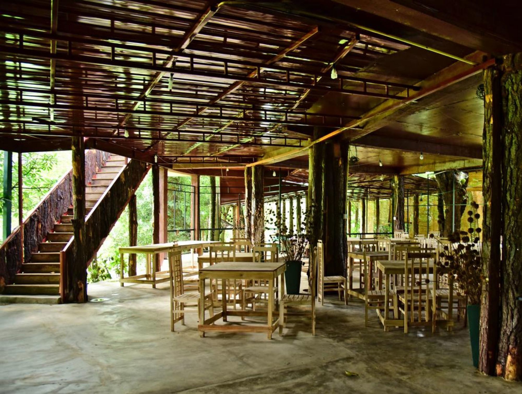 Pines Hut
