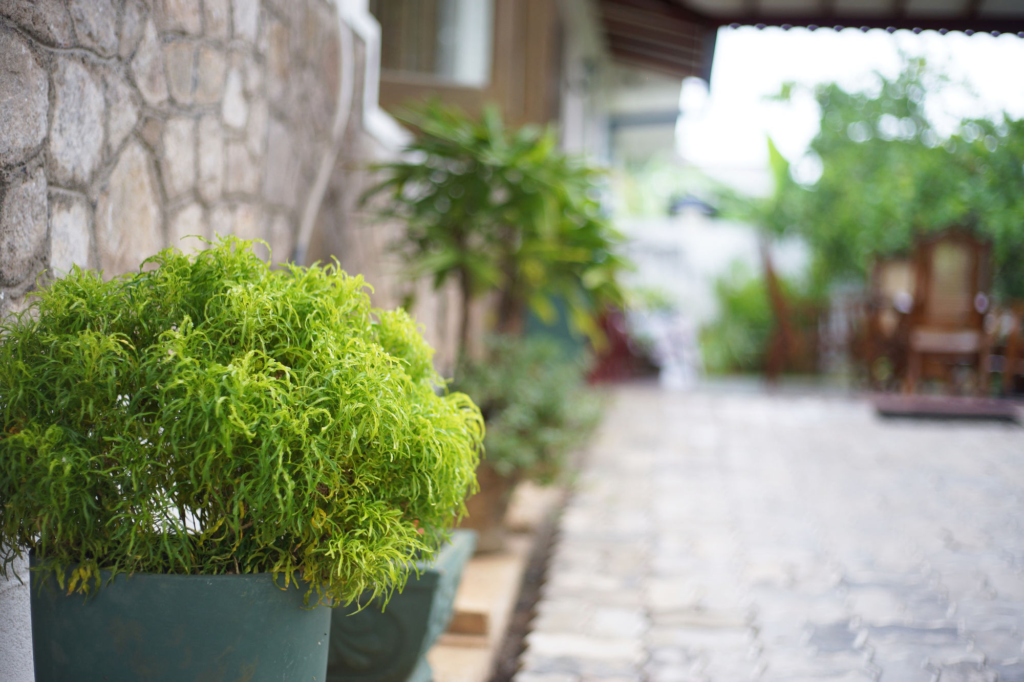 Guest house Kandy Moon Hills Hotel 3*