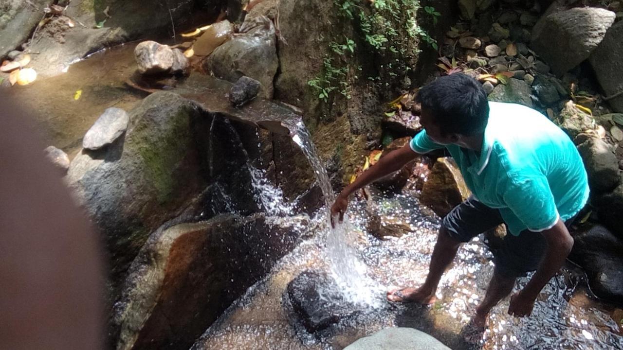 Chaya Hills Kandy