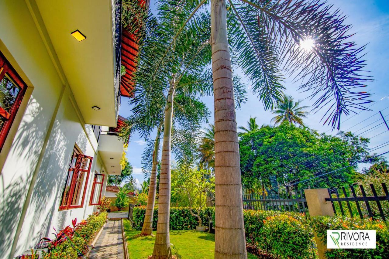 Rivora * Kandy