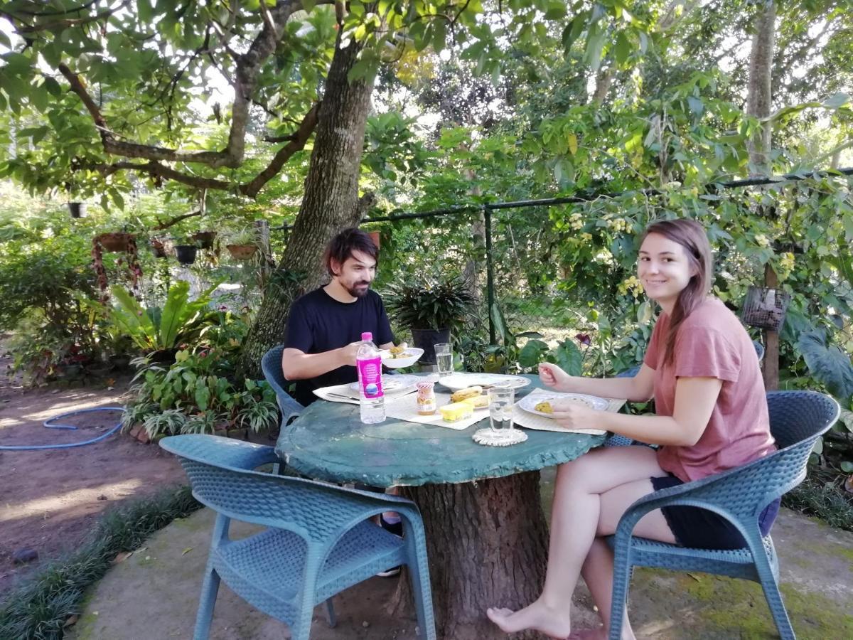 Guest house Mahaweli Shades 2*