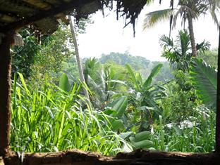 The Kandyan Manor By Bhathiya & Suzy Homestay *