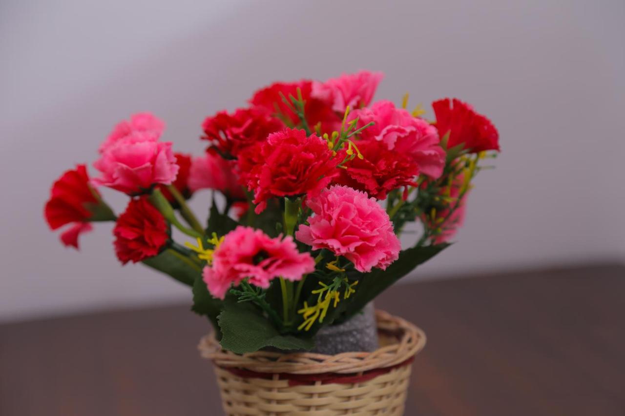 Homestay Sura Kandy