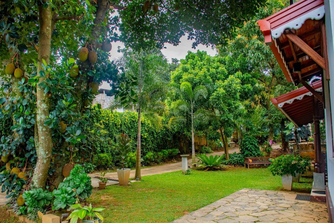Garden Rest Homestay *