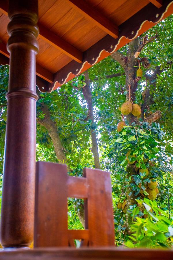 Homestay Garden Rest *
