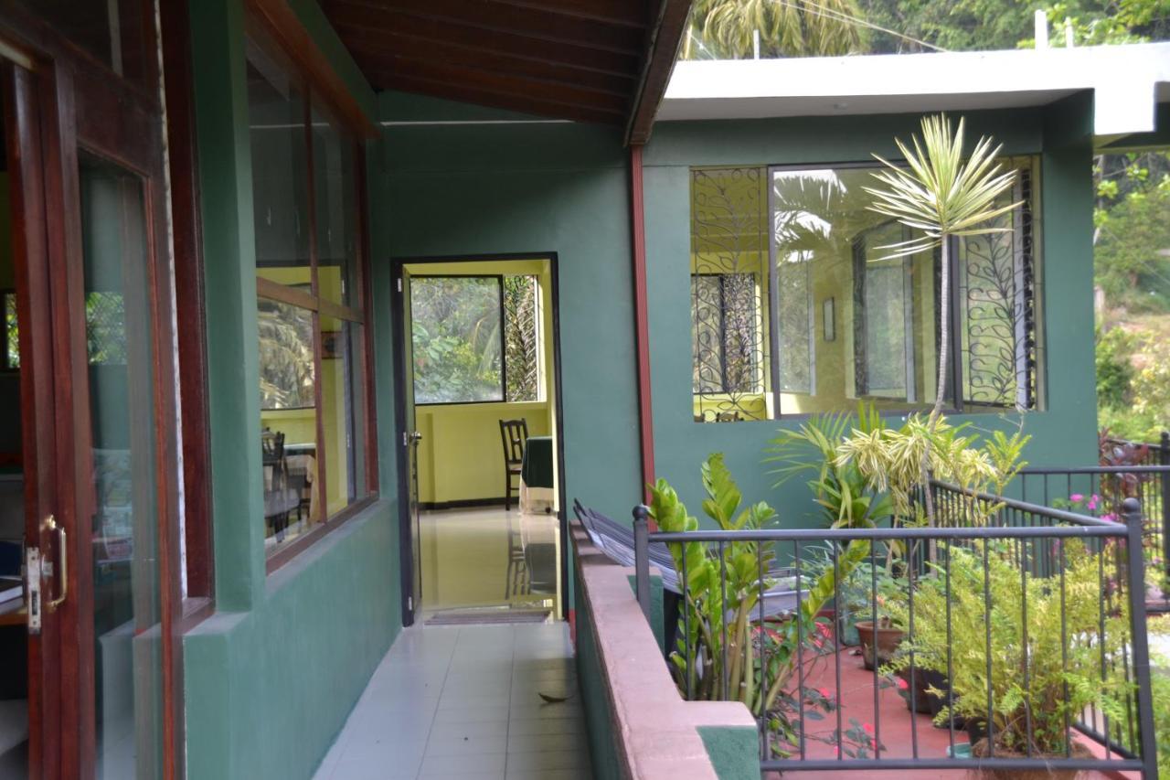 Homestay Woods Guest *