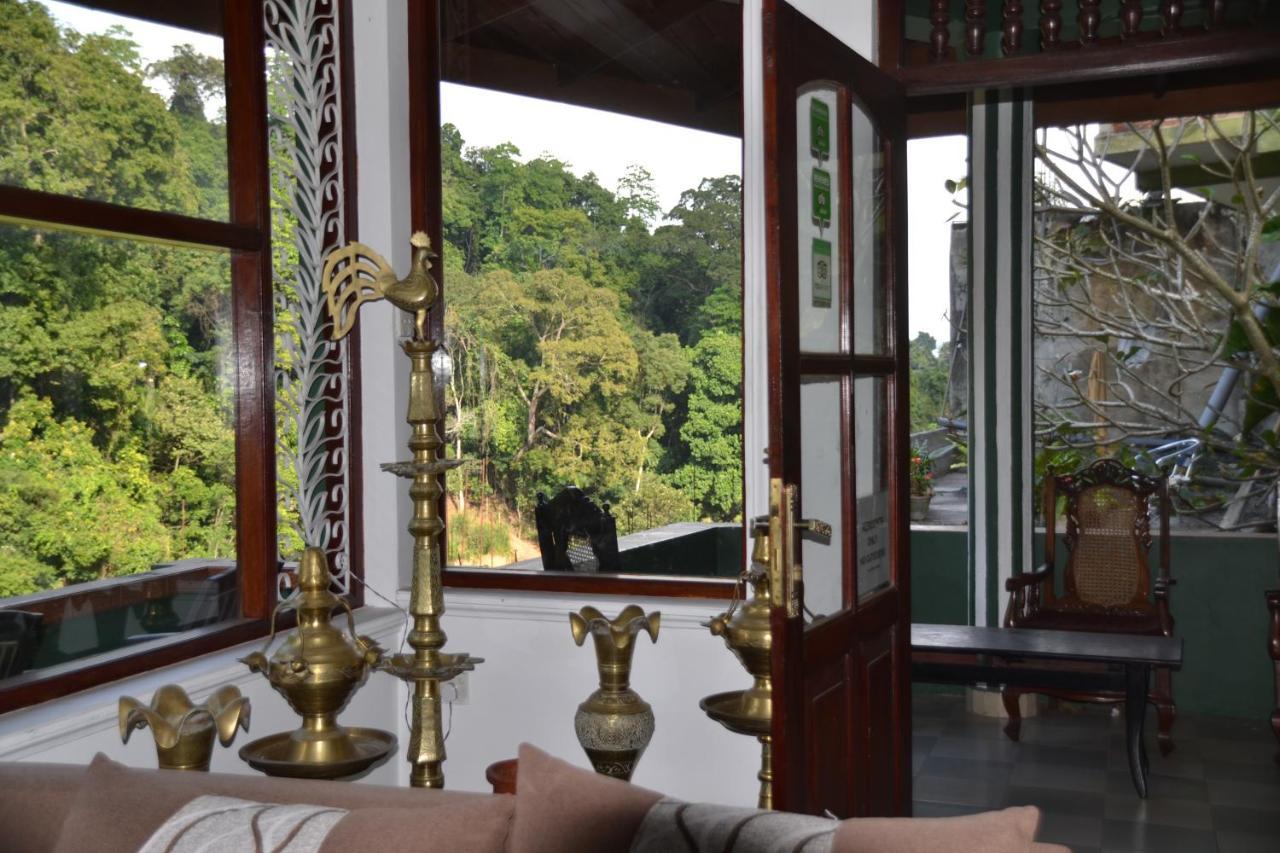 Homestay Woods Guest