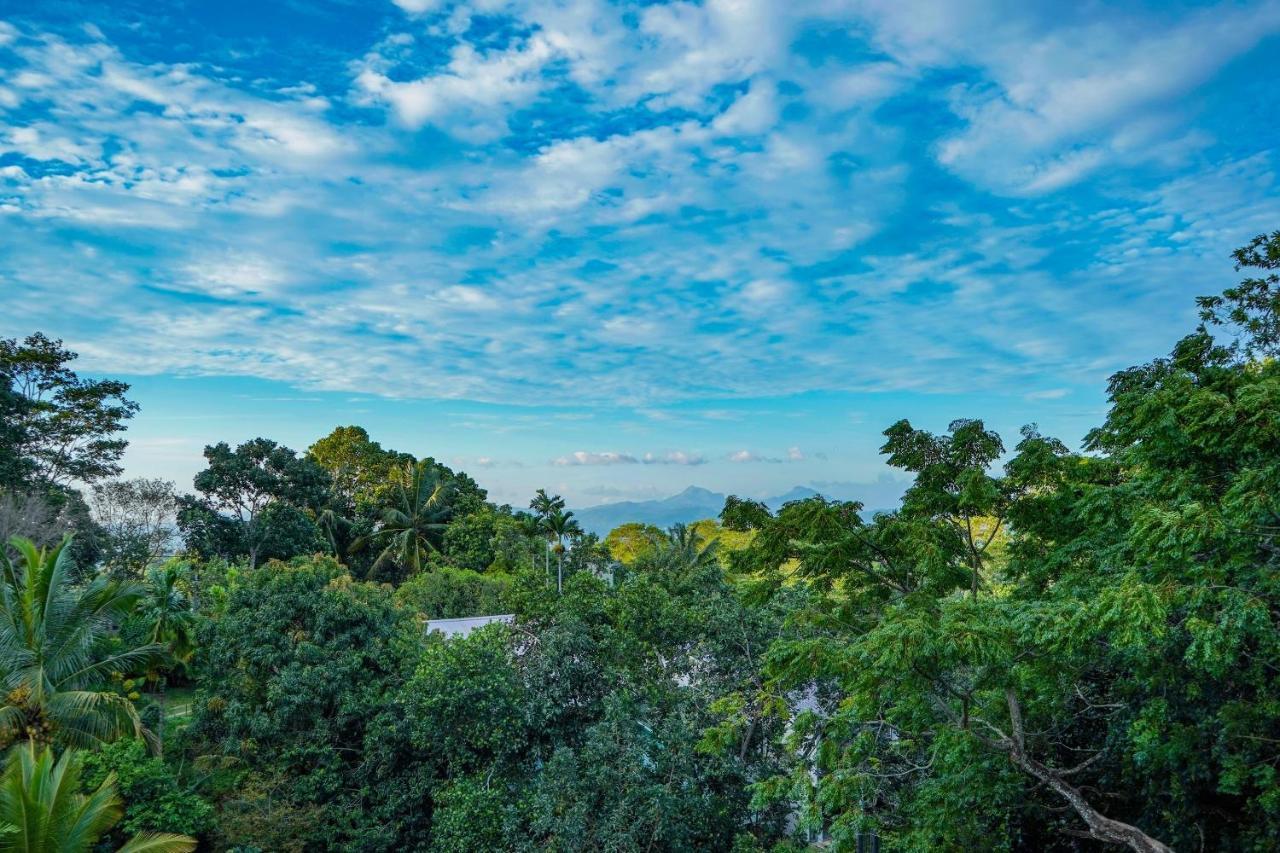 Hotel The Grand Hanthana 3*