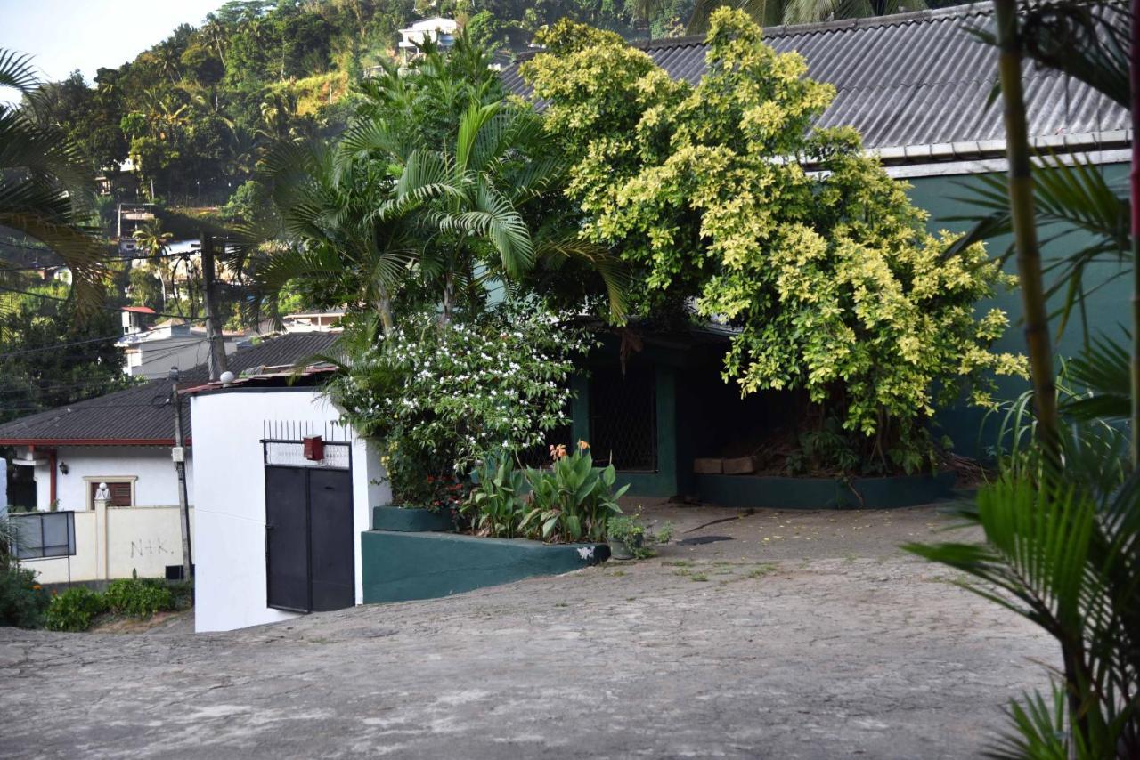 Homestay Antique Tourists