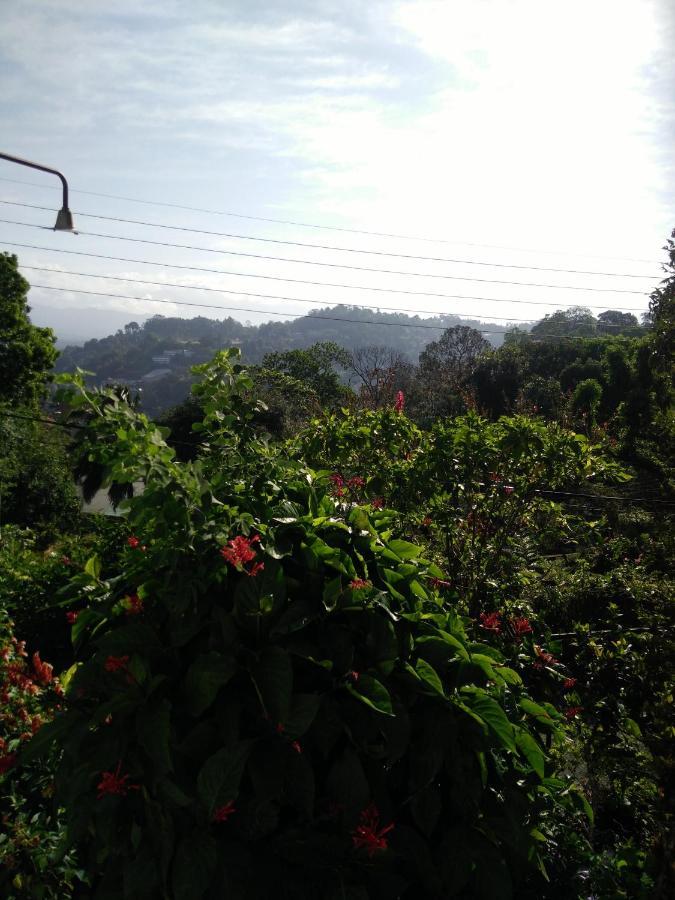 Hill Homestay *