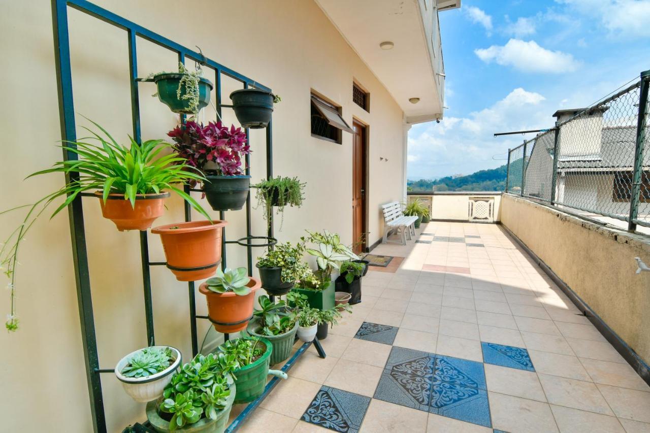 Guest house Expeditor Kandy