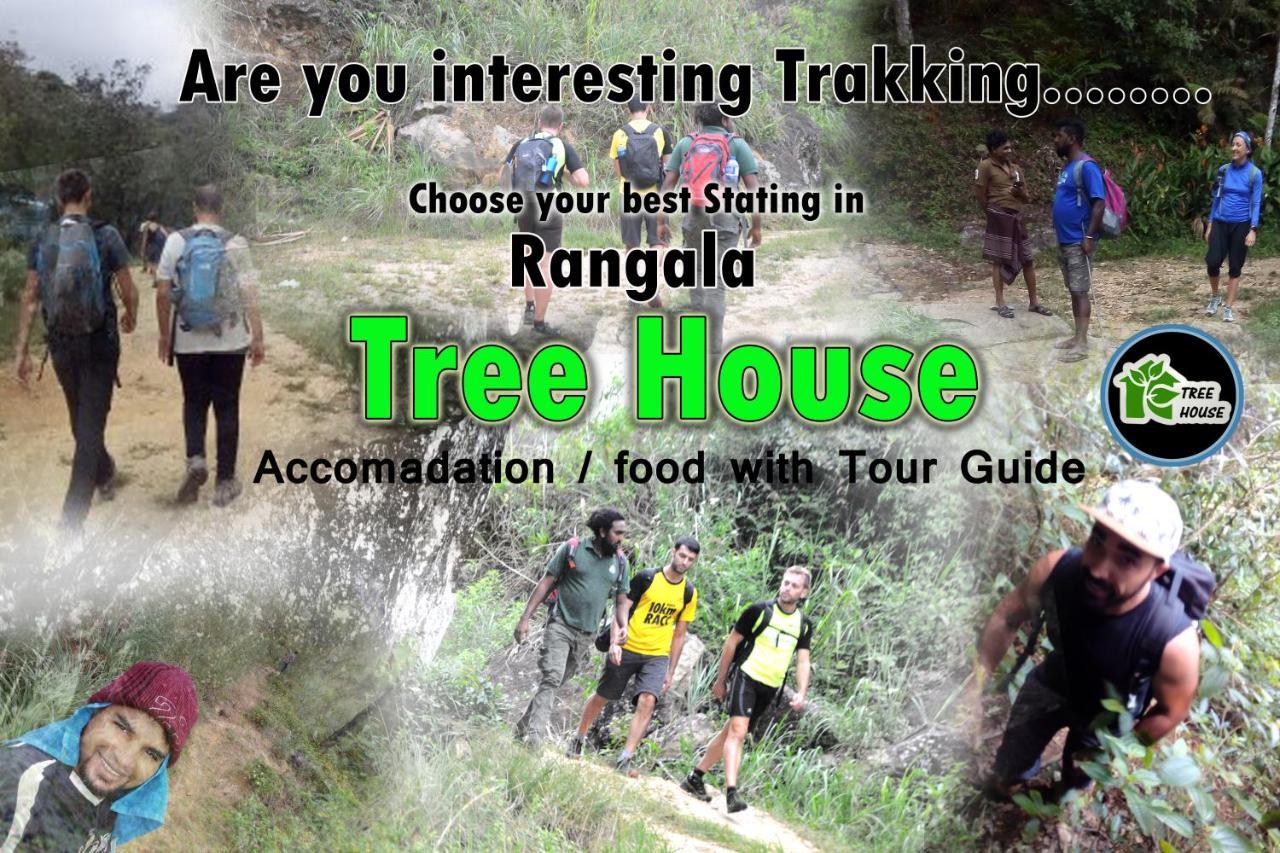 Hostel Rangala *