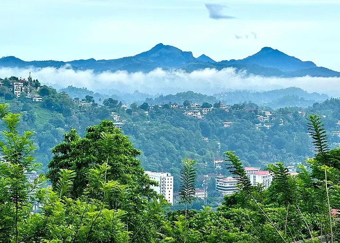 Mount View
