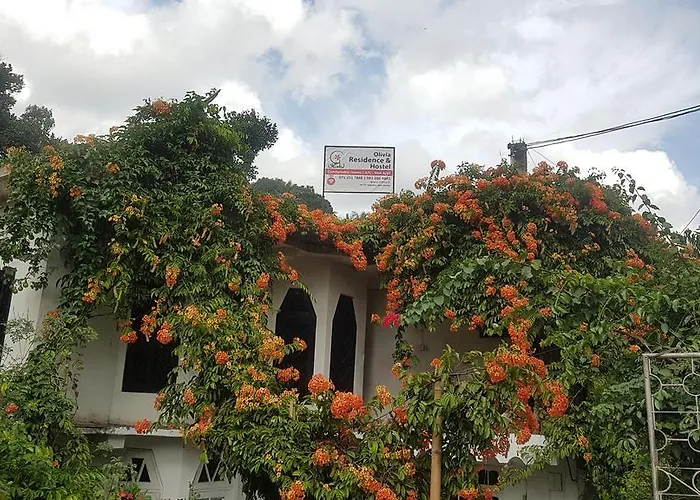 Olivia Residence And Hostel