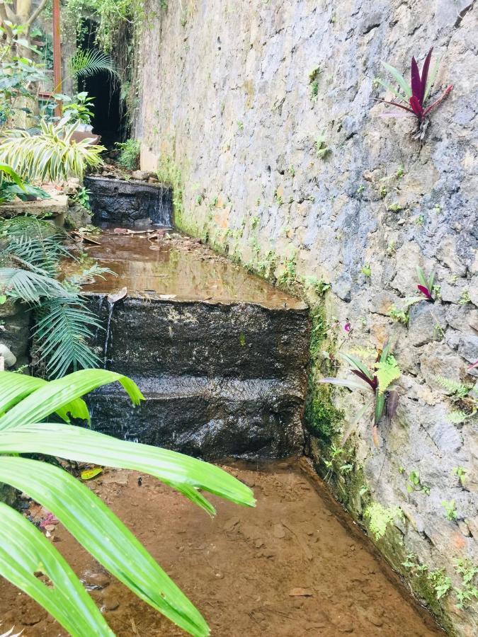 Hotel Ivy Banks Kandy