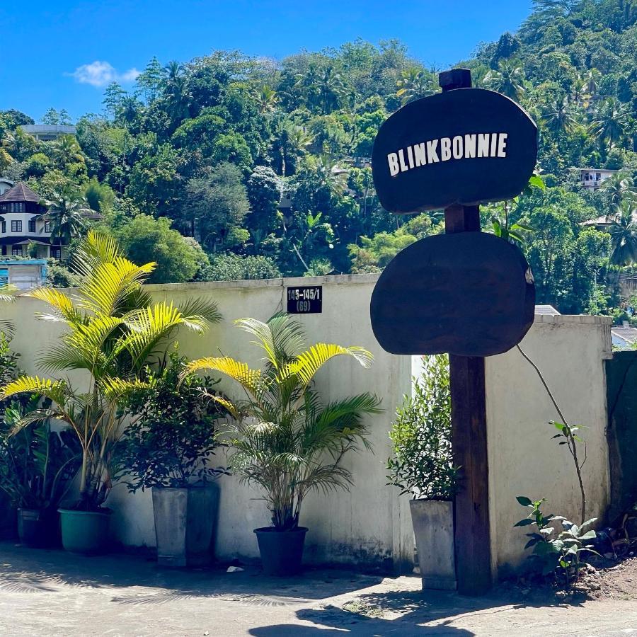Guest house Blinkbonnie