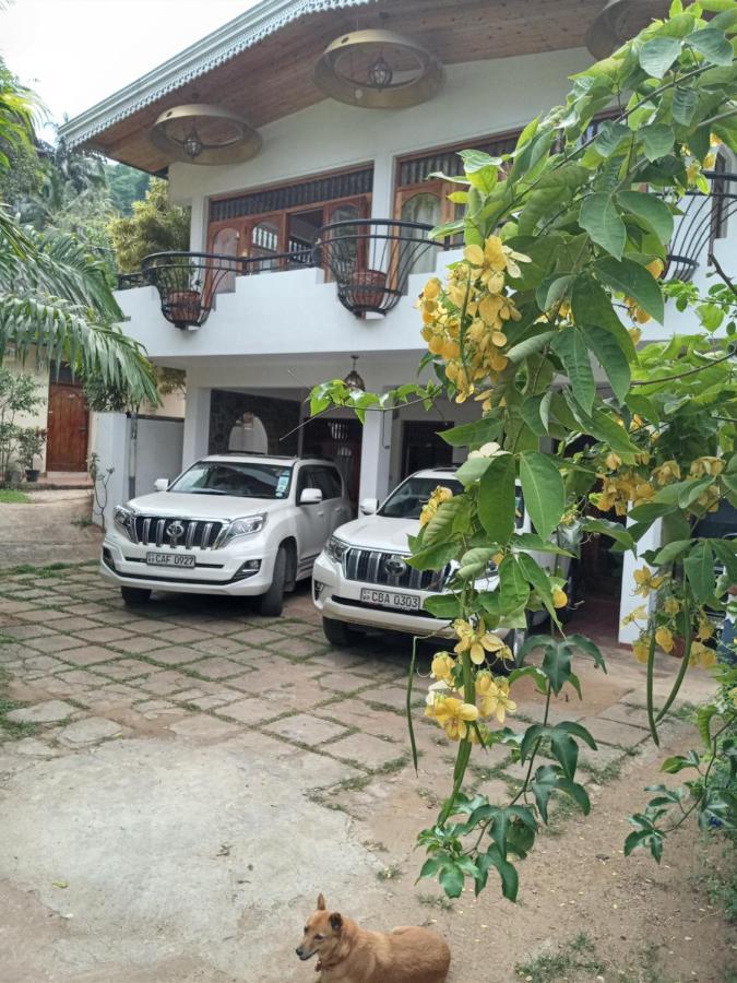 Ivy Banks Kandy