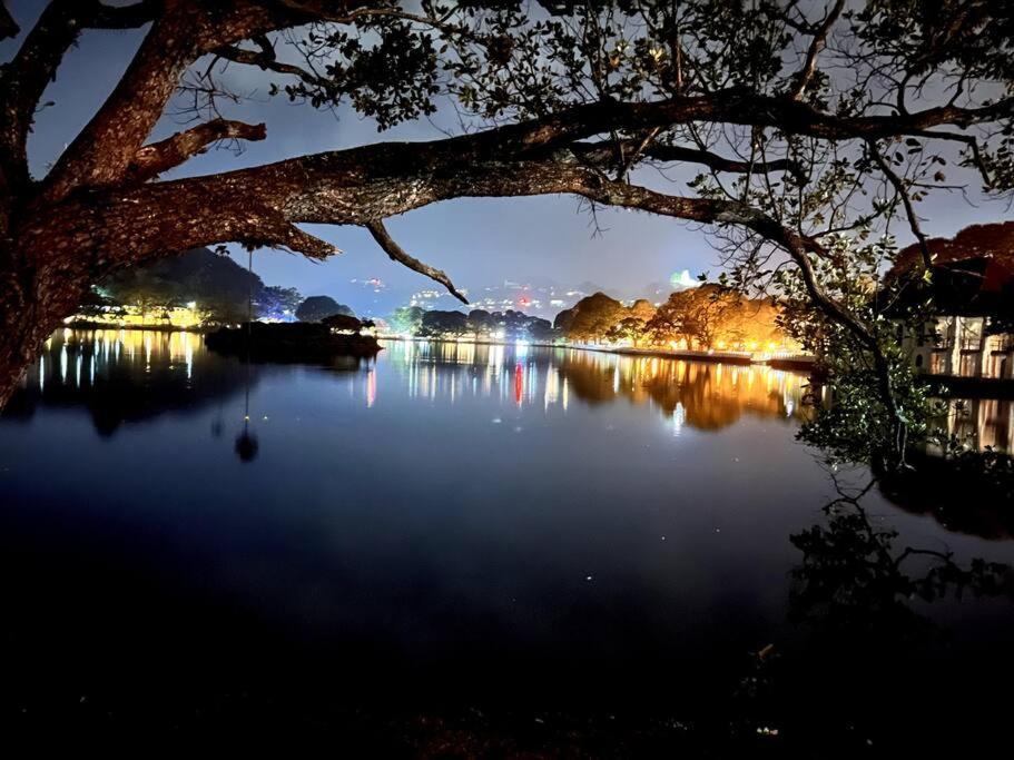 Hidden Relaxation At Kings * Kandy