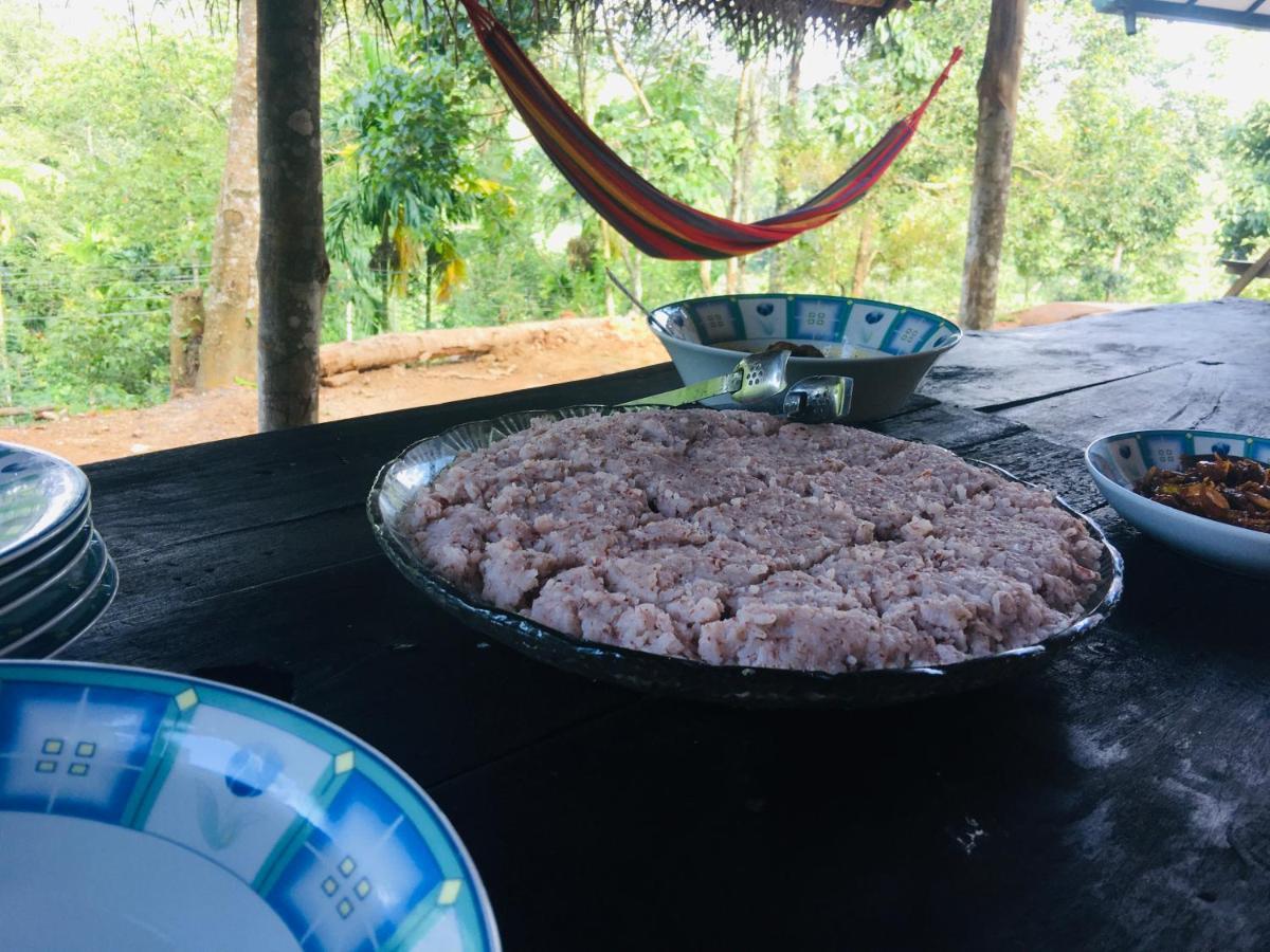 Little Wood And Retreats Doluwa Kandy