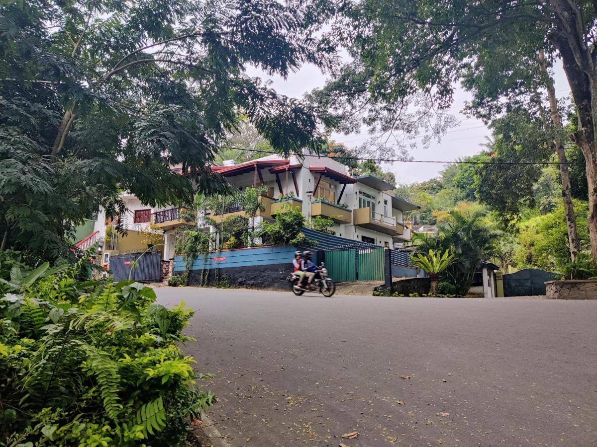 Homestay Y&y