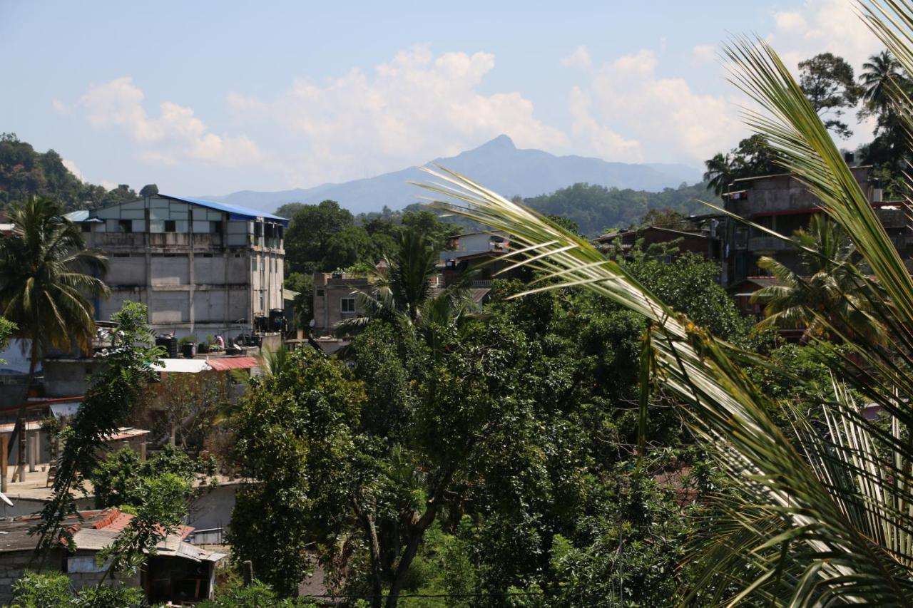 Village Homestay