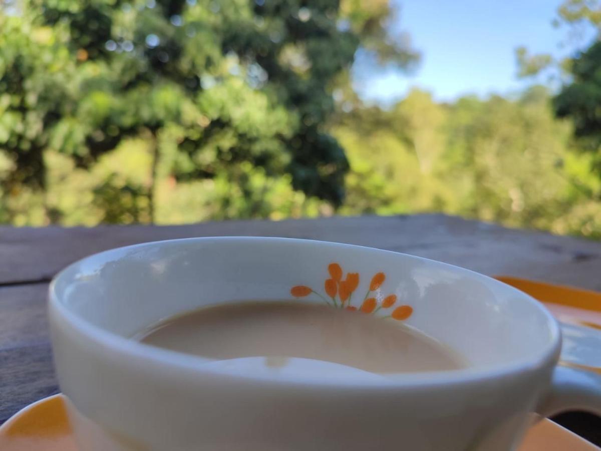 Little Wood And Retreats Doluwa Villa *