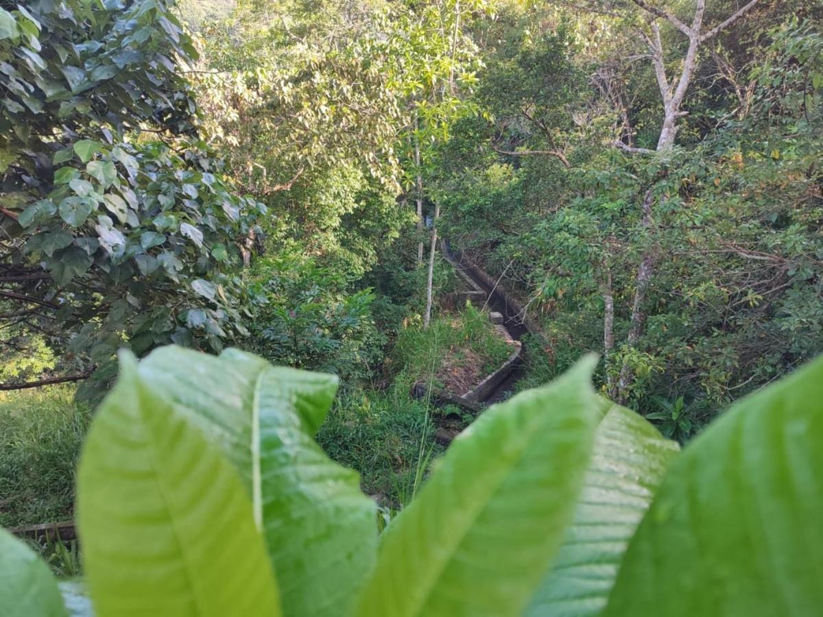 Villa Little Wood And Retreats Doluwa *