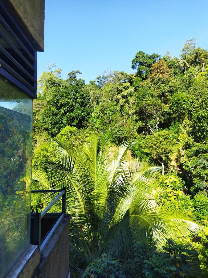 Homestay Canopy *