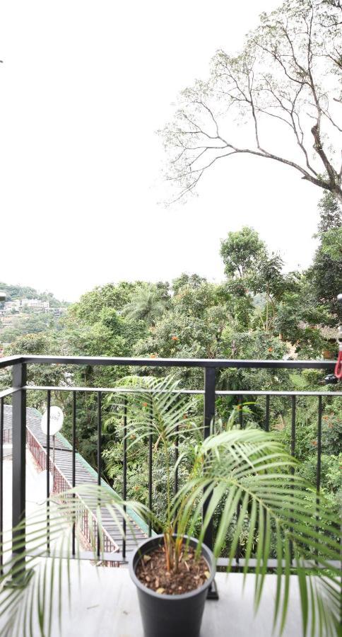 Hidden Relaxation At Kings Apartment *