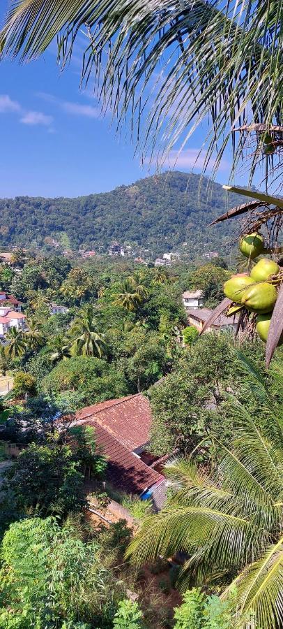 Homestay The Comfort