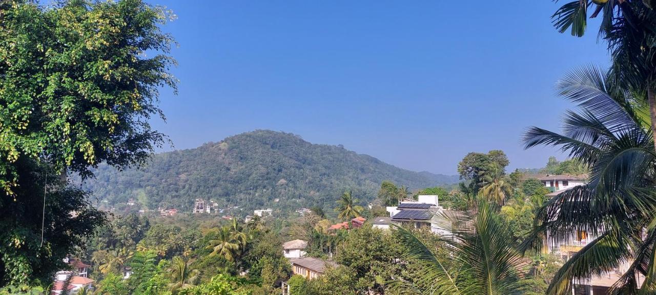 Homestay The Comfort *