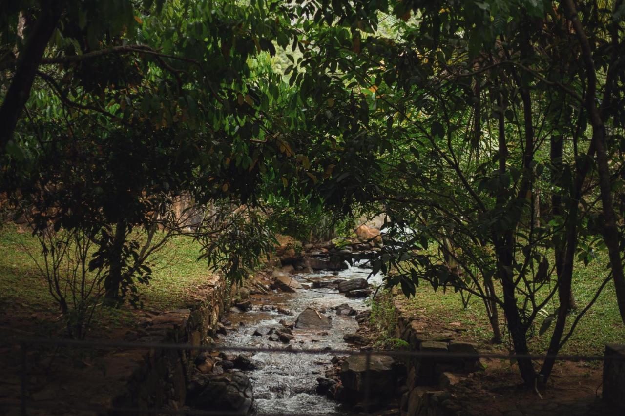 Sati Sri Lanka