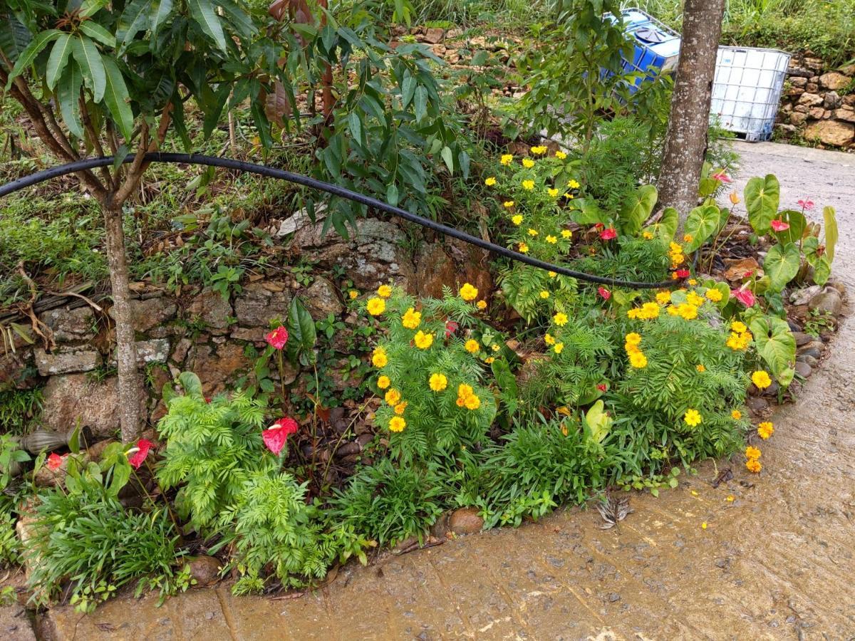 Homestay Rohana Estate &
