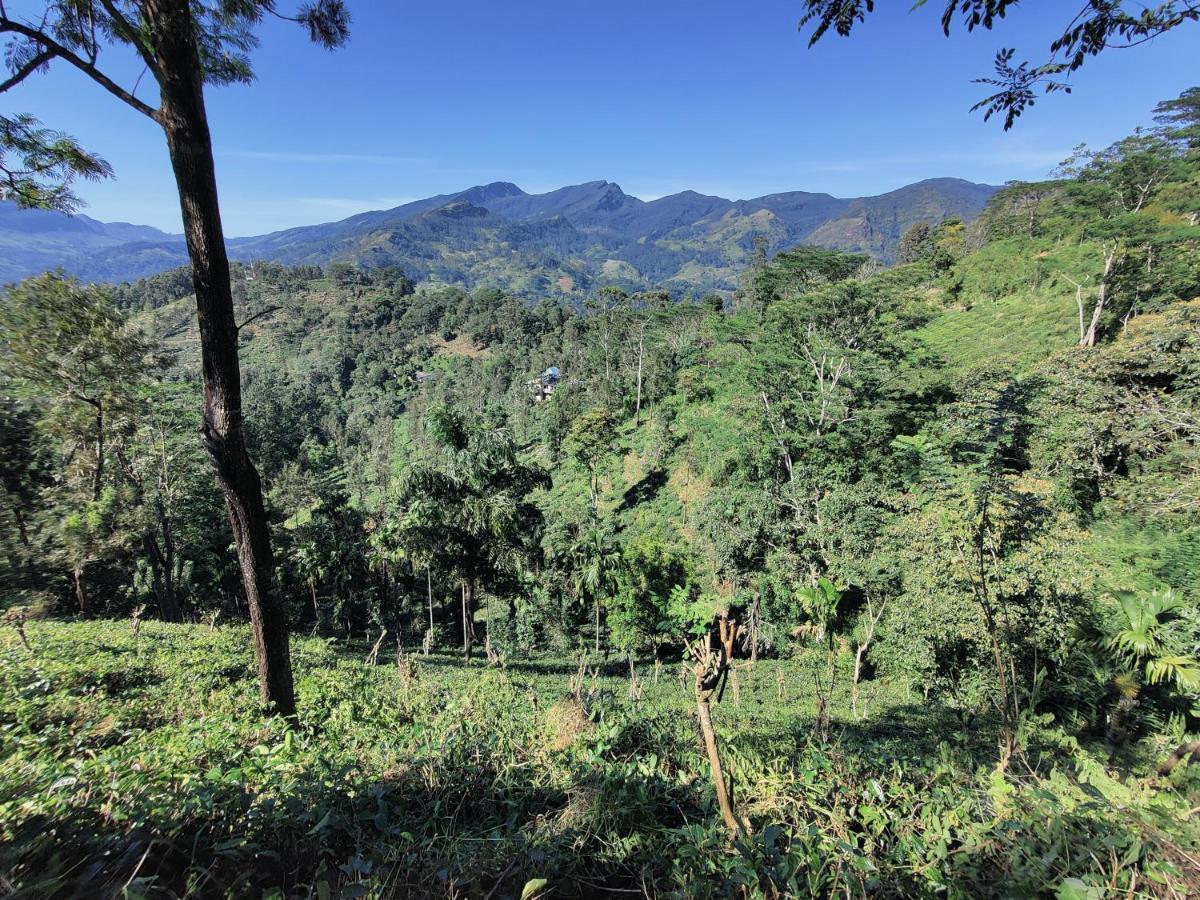 Homestay Rohana Estate & *