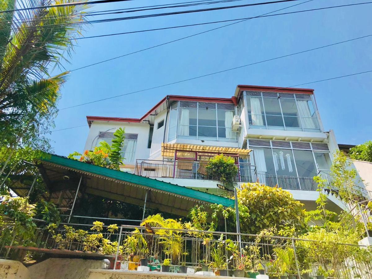 Guest house Blossom Rest 2*