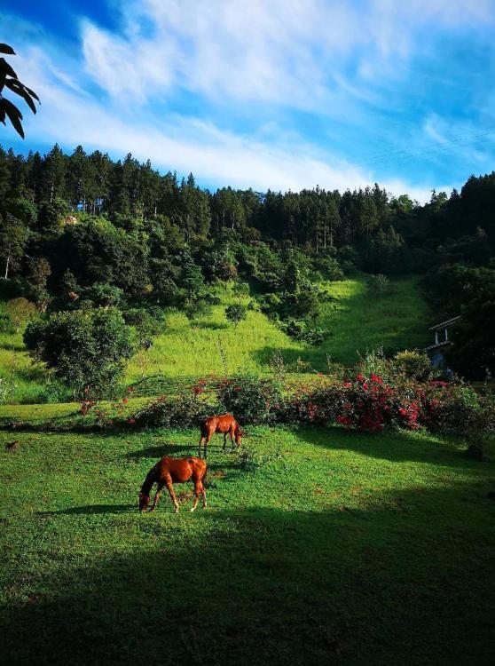 Yale Park Kandy