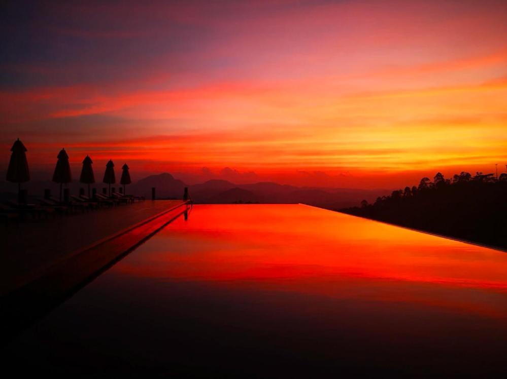 Yale Park Hotel 5*