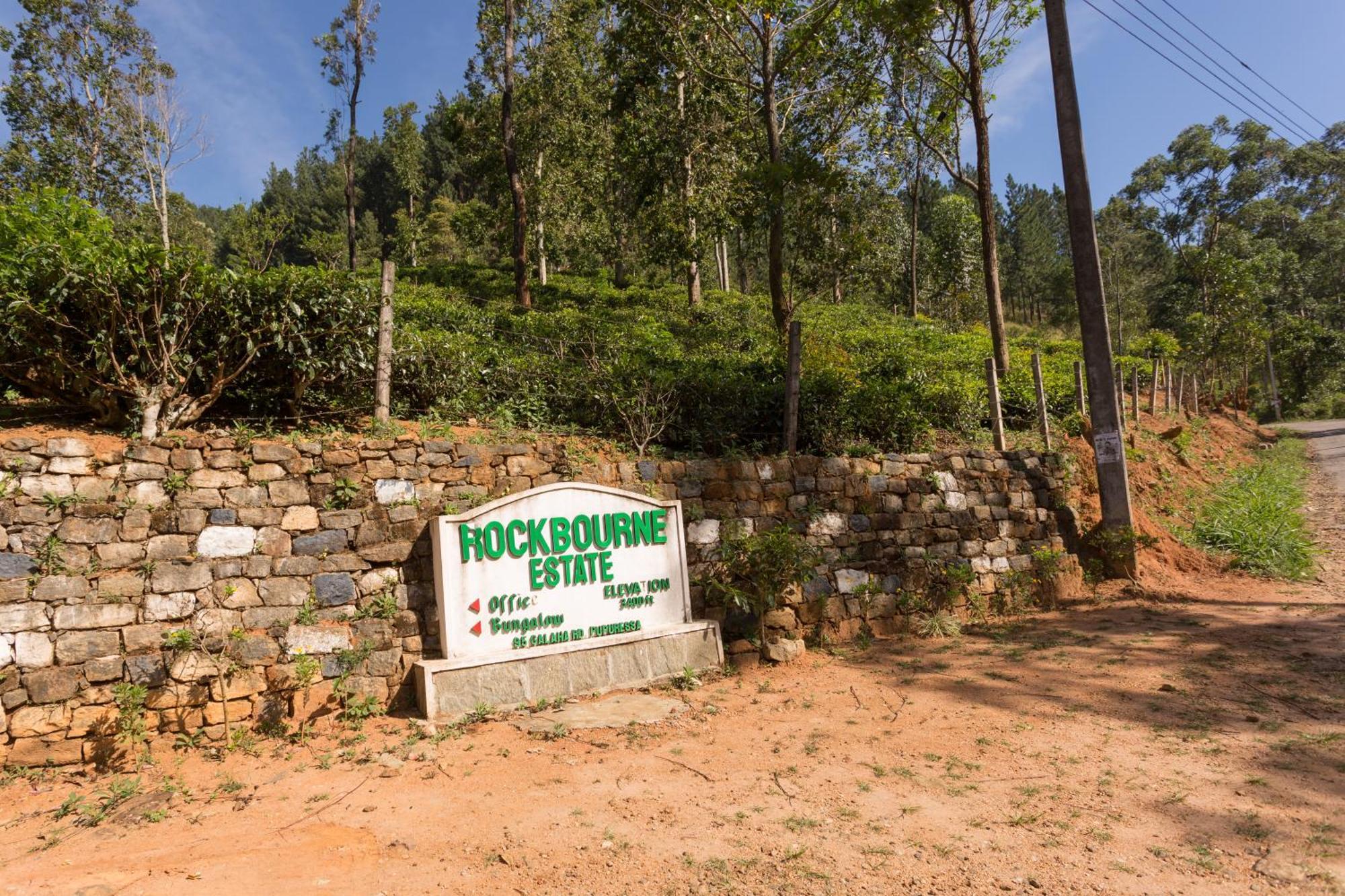 Rockbourne Bed & Breakfast
