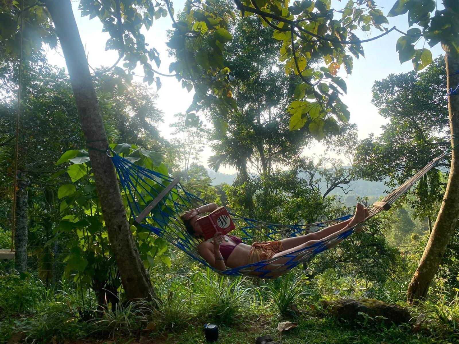 Little Wood And Retreats Doluwa * Kandy
