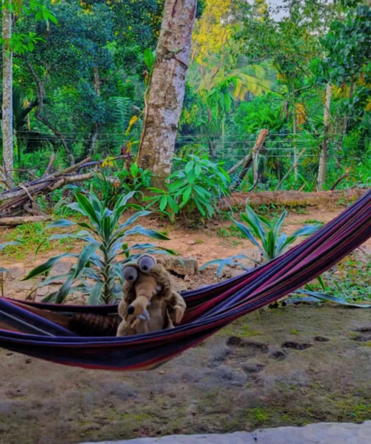 Little Wood And Retreats Doluwa Villa