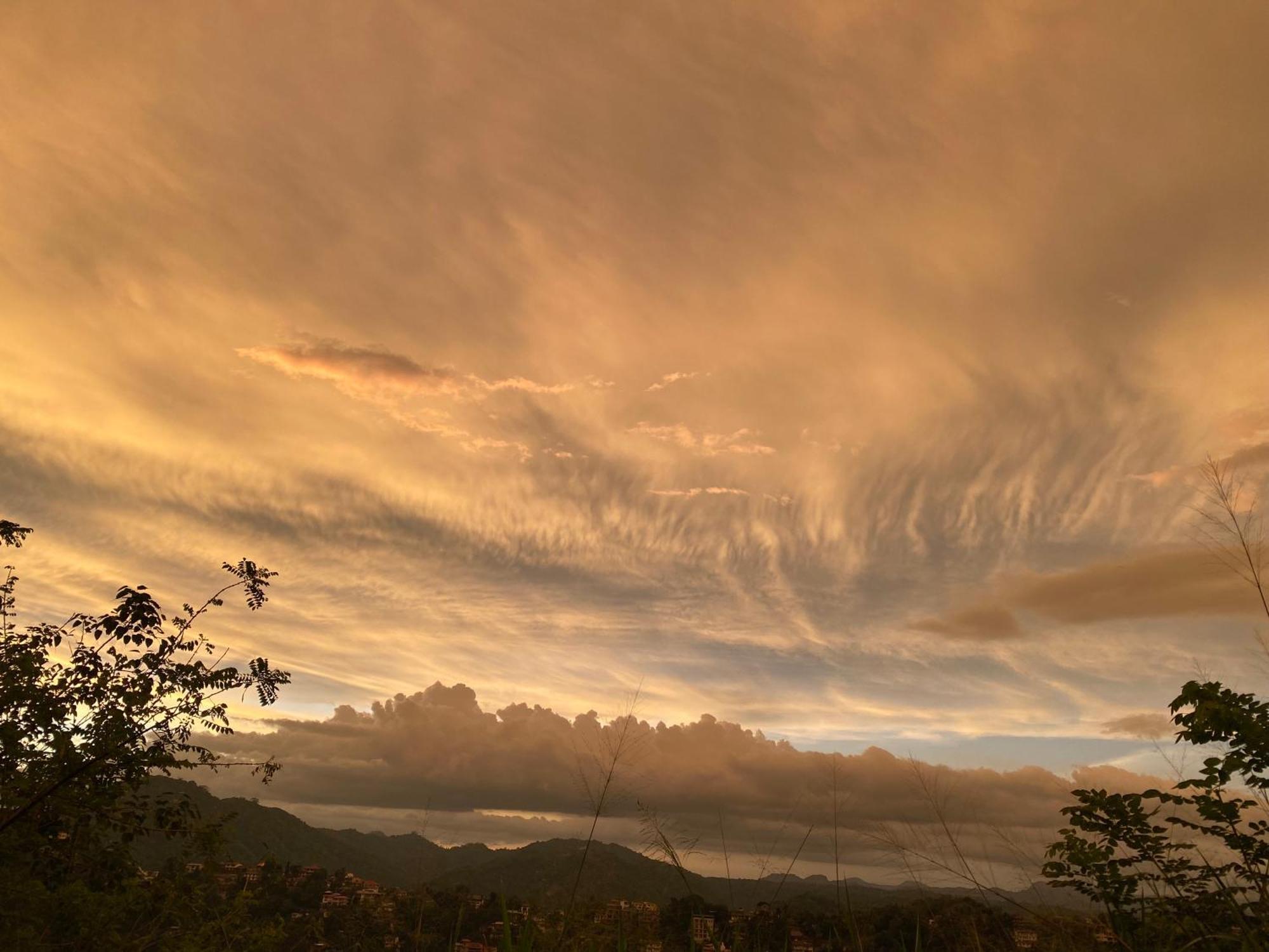 Misty Hills -